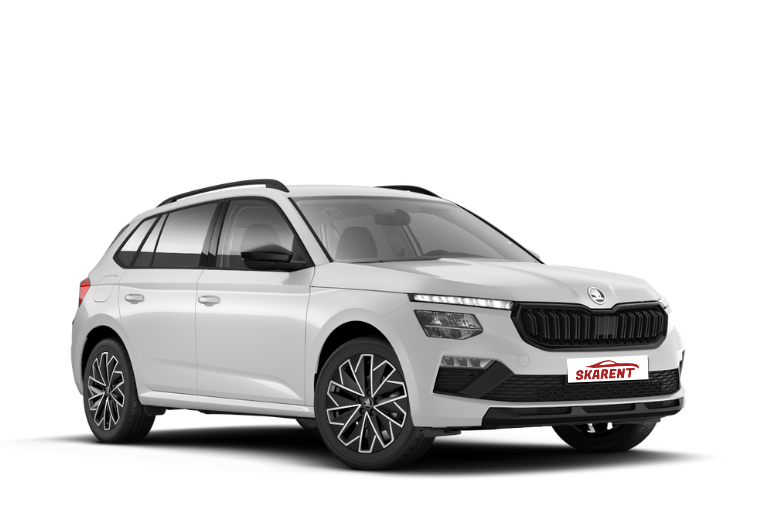 Gruppo D1 - SKODA KAMIQ automatica